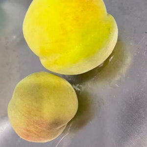 黄桃