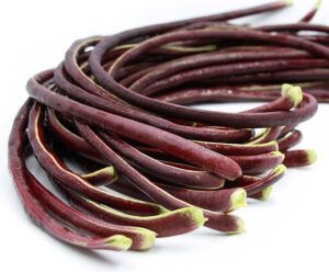 Purple Long Beans