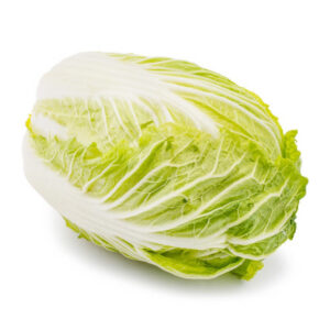 大白菜